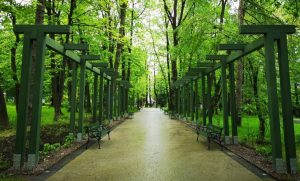 Fot. Karina Płaszczyca