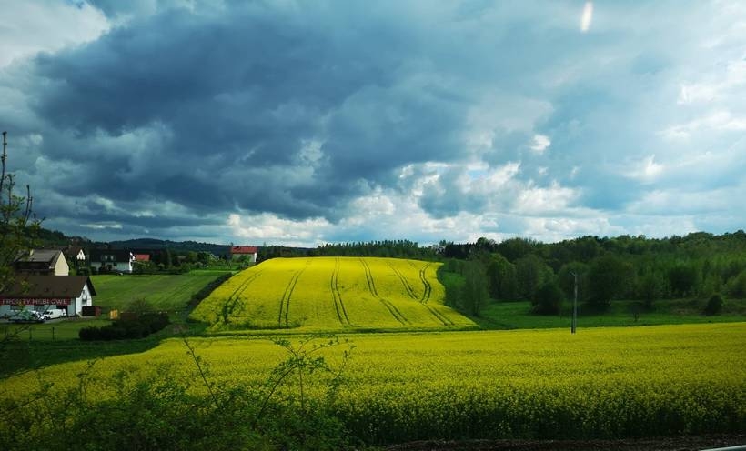 Fot. Karina Płaszczyca