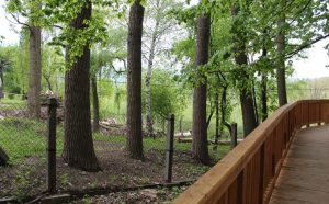 Fot. Nadesłane dla joomla.wadowice24.promo-peak.ovh