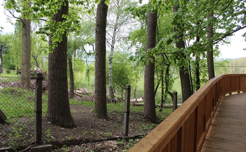 Fot. Nadesłane dla joomla.wadowice24.promo-peak.ovh