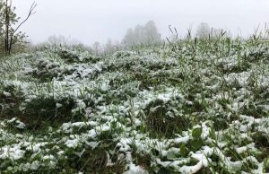 Fot. nadesłane #dlawadowice24