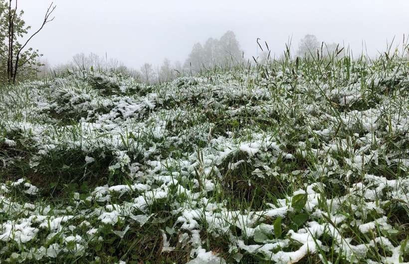 Fot. nadesłane #dlawadowice24