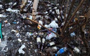 Fot. Karina Płaszczyca