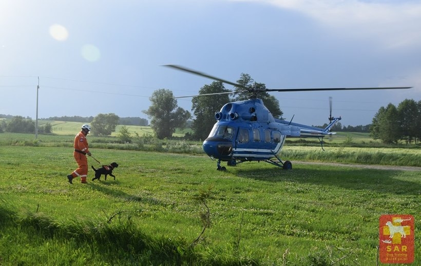 Fot. Facebook/Psieego.pl