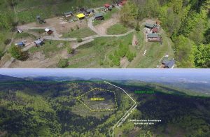 Fot. Materiały organizatora imprezy