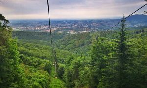 Fot. Karina Płaszczyca