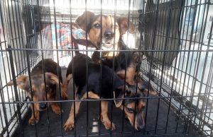 Fot. Nowiny Andrychowskie