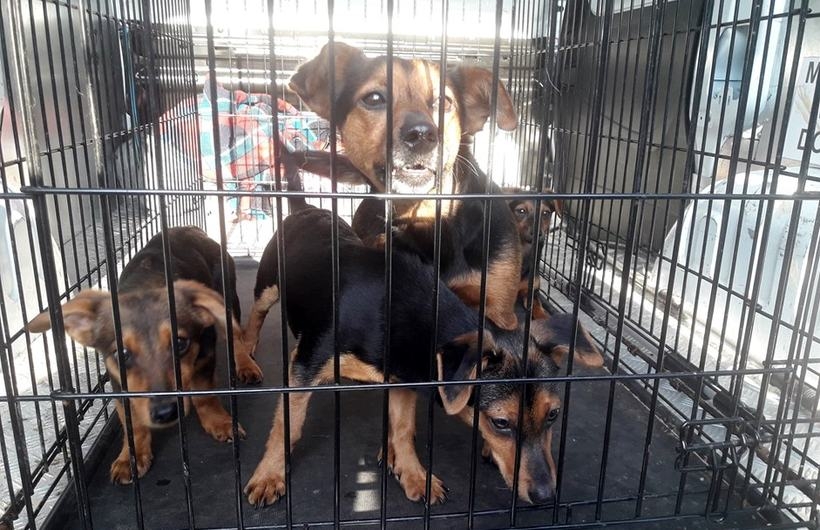 Fot. Nowiny Andrychowskie