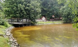 Fot. Nowiny Andrychowskie