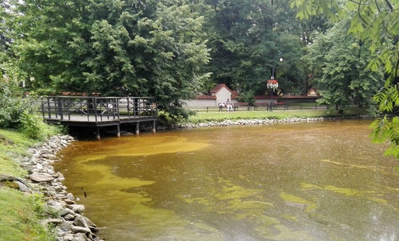 Fot. Nowiny Andrychowskie