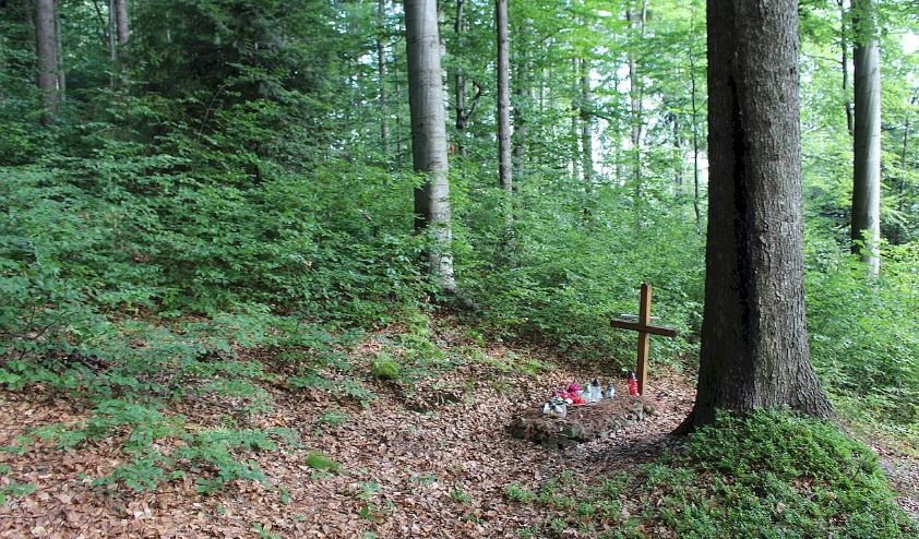 Fot. Materiały Prasowe IPN