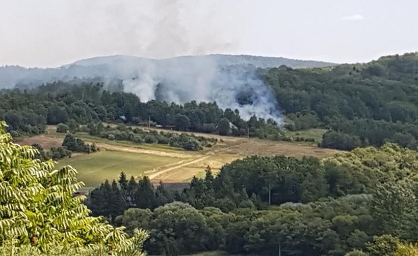 Fot. dzięki uprzejmości Facebook/ Patrole. Wypadki Suszarki.../ Danuta