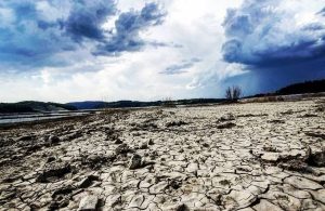 Fot. Facebook. Mucharskie24