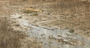 Fot. Nadesłane dla joomla.wadowice24.promo-peak.ovh