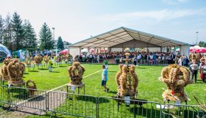 Fot. Marcin Płaszczyca