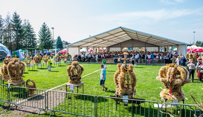 Fot. Marcin Płaszczyca