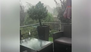 Fot. Facebook.pl/DorotaNiedziela