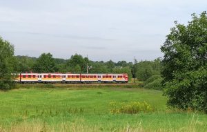 Fot. Karina Płaszczyca