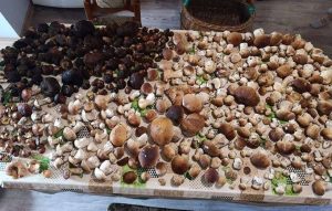 Fot. nadesłane #dlawadowice24