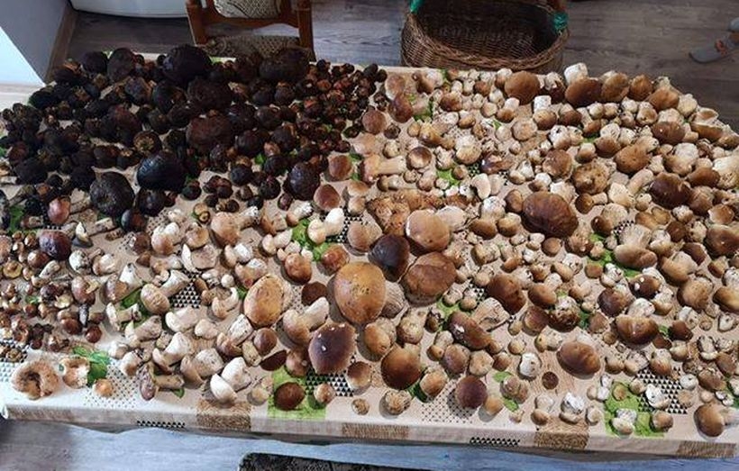 Fot. nadesłane #dlawadowice24