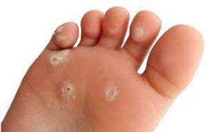 Fot. materiały promocyjne reklamodawcy