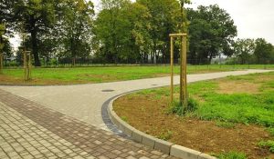 Fot. Materiały Prasowe