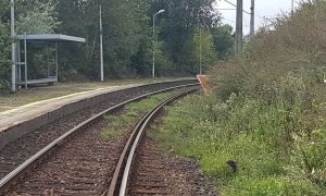 Fot. nadesłane/ dlawadowice24