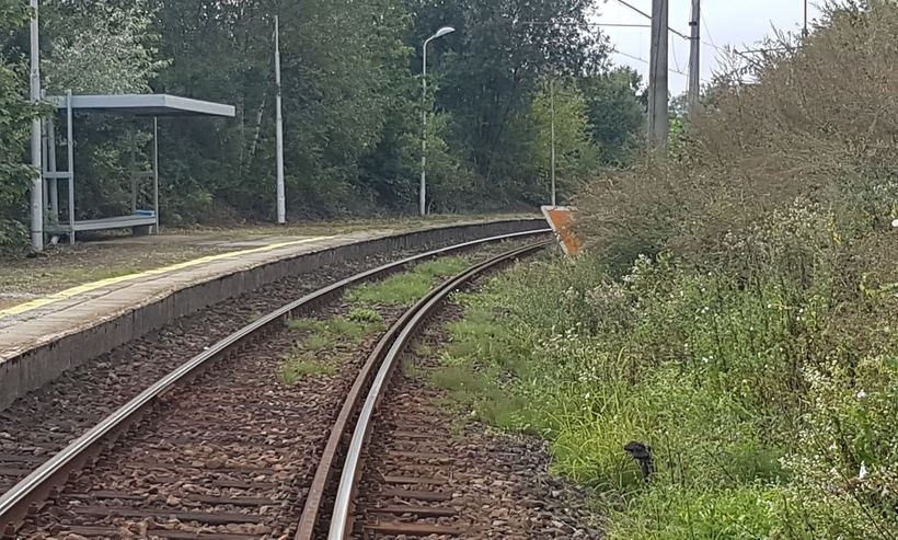 Fot. nadesłane/ dlawadowice24