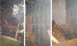 Fot. Facebook. OSP Zagórnik