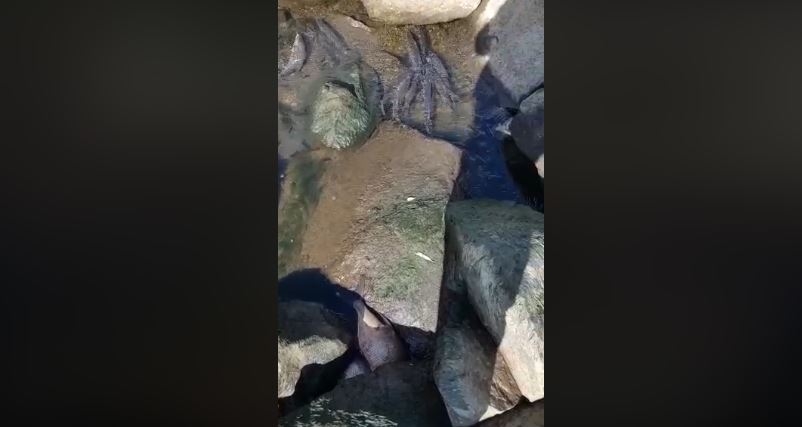 Fot. Facebook.pl/DominikaRak