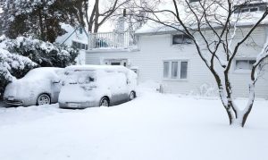 Fot. materiał promocyjny należący do reklamodawcy