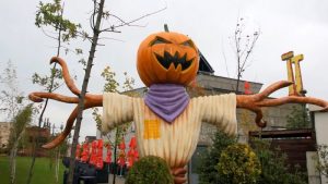 Fot. Materiały Prasowe