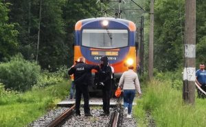 Fot. Karina Płaszczyca