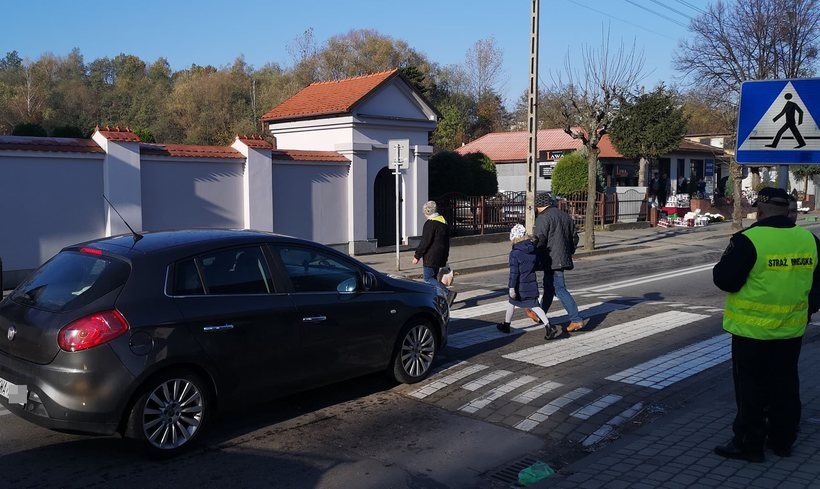 Fot. Karina Płaszczyca