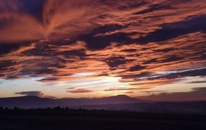 Fot. Konrad Leśniak