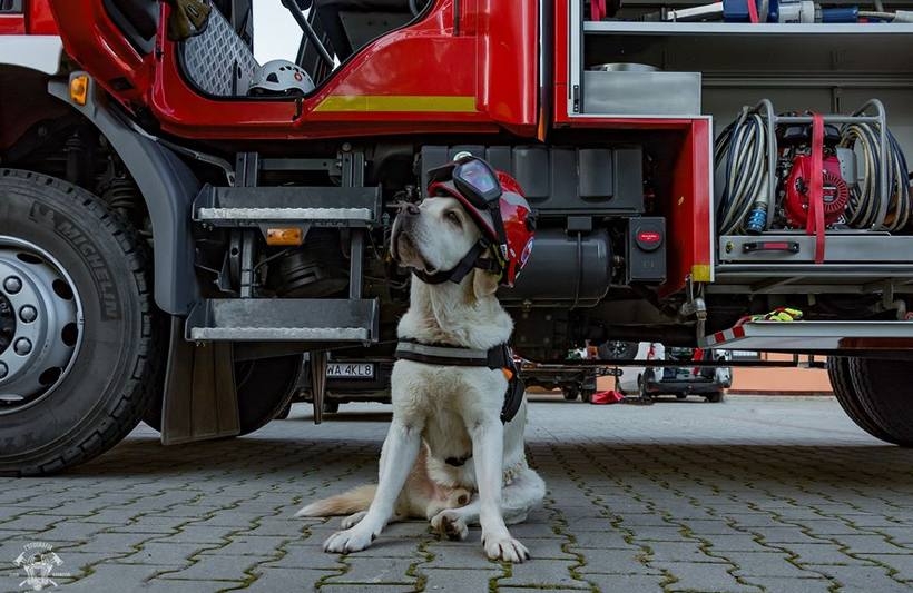 Fot. Facebook/Jerzy Herma