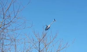 Fot. kadr z filmu na YouTube