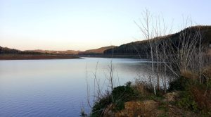 Fot. Karina Płaszczyca