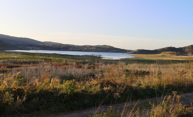 Fot. Karina Płaszczyca