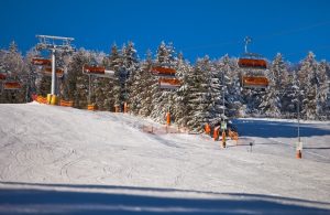 Fot. materiały prasowe