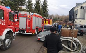 Fot. Karina Płaszczyca