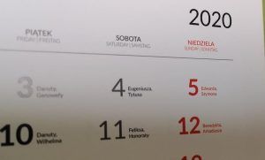 Fot. Karina Płaszczyca