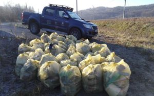 Fot. RZGW WOdy Polskie