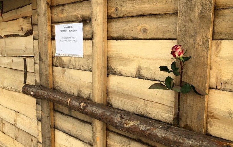 Fot. joomla.wadowice24.promo-peak.ovh