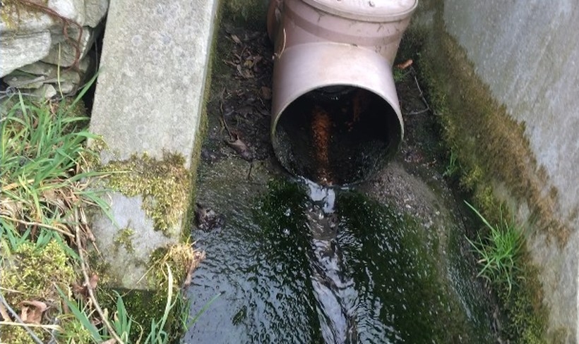 Fot. kadr z filmu na stryszow.pl