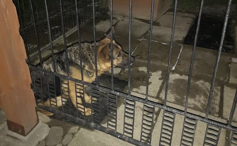 Fot. Facebook.pl/ Witanowice z sercem i duszą