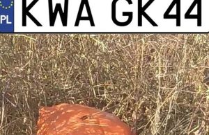 Fot. Facebook/ Witold Grabowski Wójt Gminy Tomice