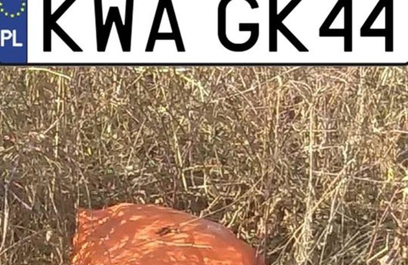 Fot. Facebook/ Witold Grabowski Wójt Gminy Tomice