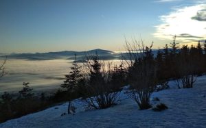 Fot. Facebook/ GOPR Beskidy