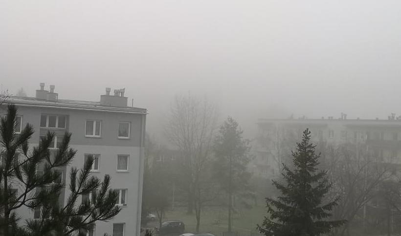 Fot. Karina Płaszczyca/ joomla.wadowice24.promo-peak.ovh